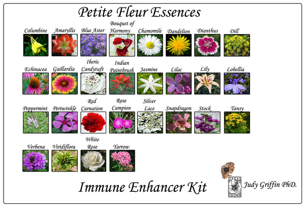 Immune Enhancers Set