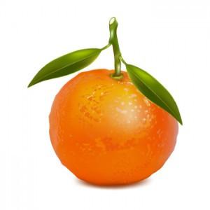 Tangerine, Citrus reticulata, Essential Oil 
