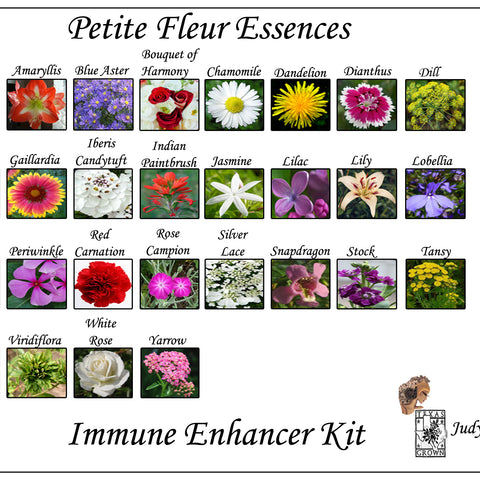 Immune Enhancers  Flower Essence Kit