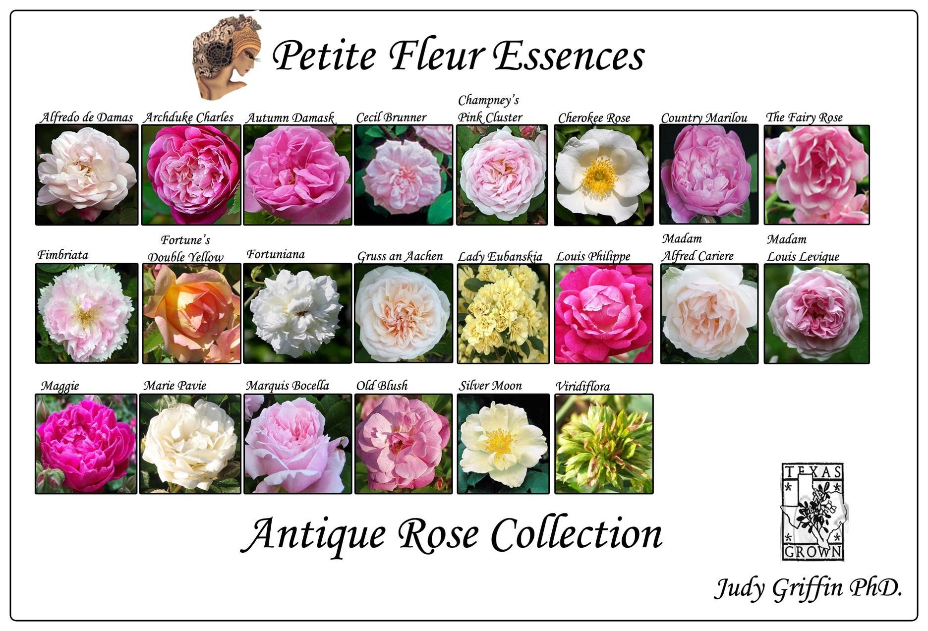 Antique Rose Collection Flower Essences– Aroma Health Texas