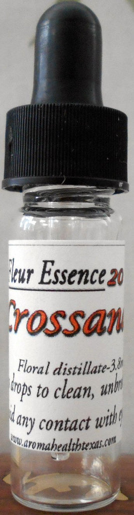 Crossandra,Influndibuliformis, Flower Essence