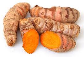 Tumeric Root, Curcuma longa, Essential oil 