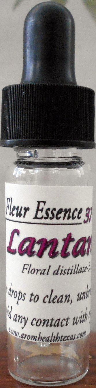 Lantana, Camana, Flower Essence