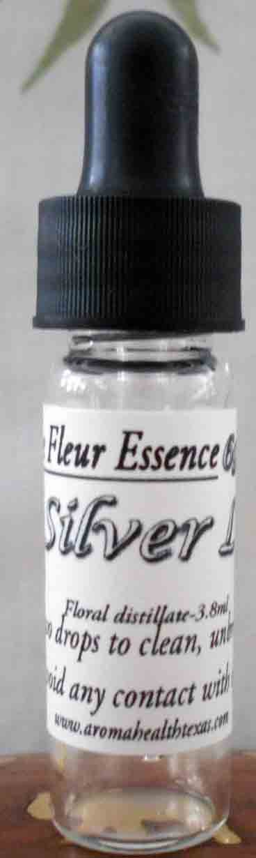 Silver Lace Flower Essence