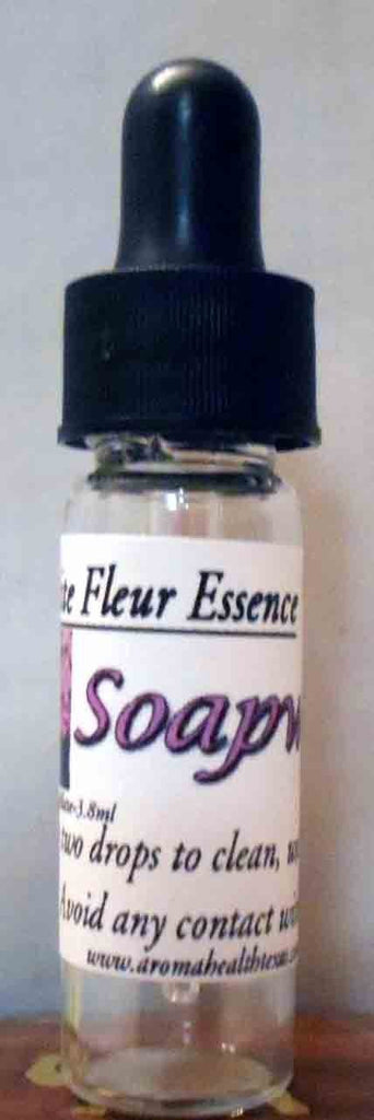 Soapwort Flower Essence