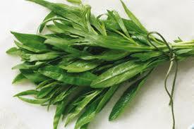 Tarragon, Artemesia dracunculus, Essential Oil